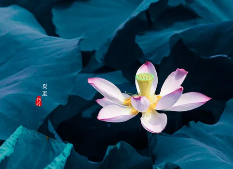 风景如画