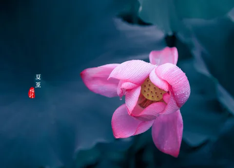 风景如画