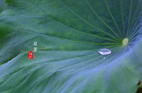 风景如画