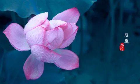 风景如画
