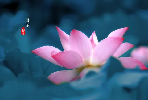 风景如画