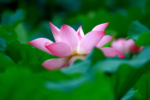 风景如画
