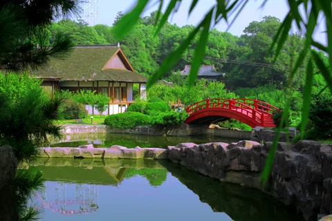 风景如画
